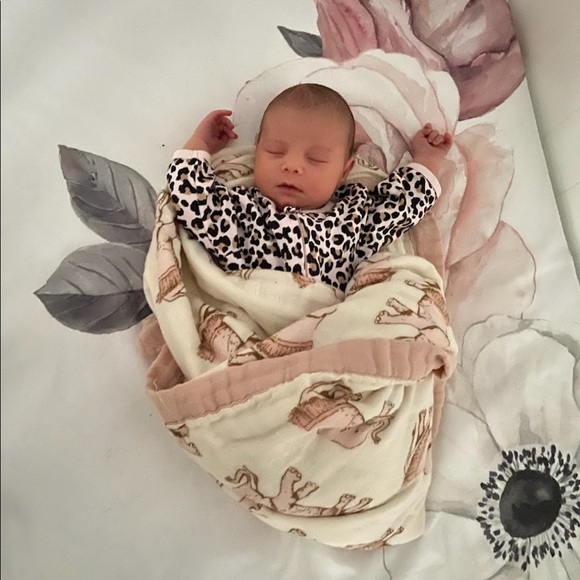 Meet your Posher, Charlotte - Picture 2 of 3